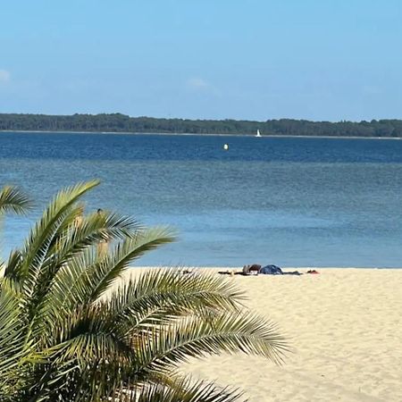 Chalet Et Jaccuzy Sur La Plage Біскарросс Екстер'єр фото